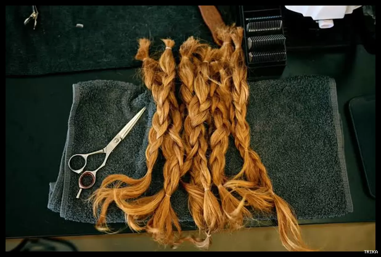 کاهش چشمگیر تماس با سرب از اوایل دهه ۱۹۰۰ تا ۲۰۲۰ با بررسی موی انسان