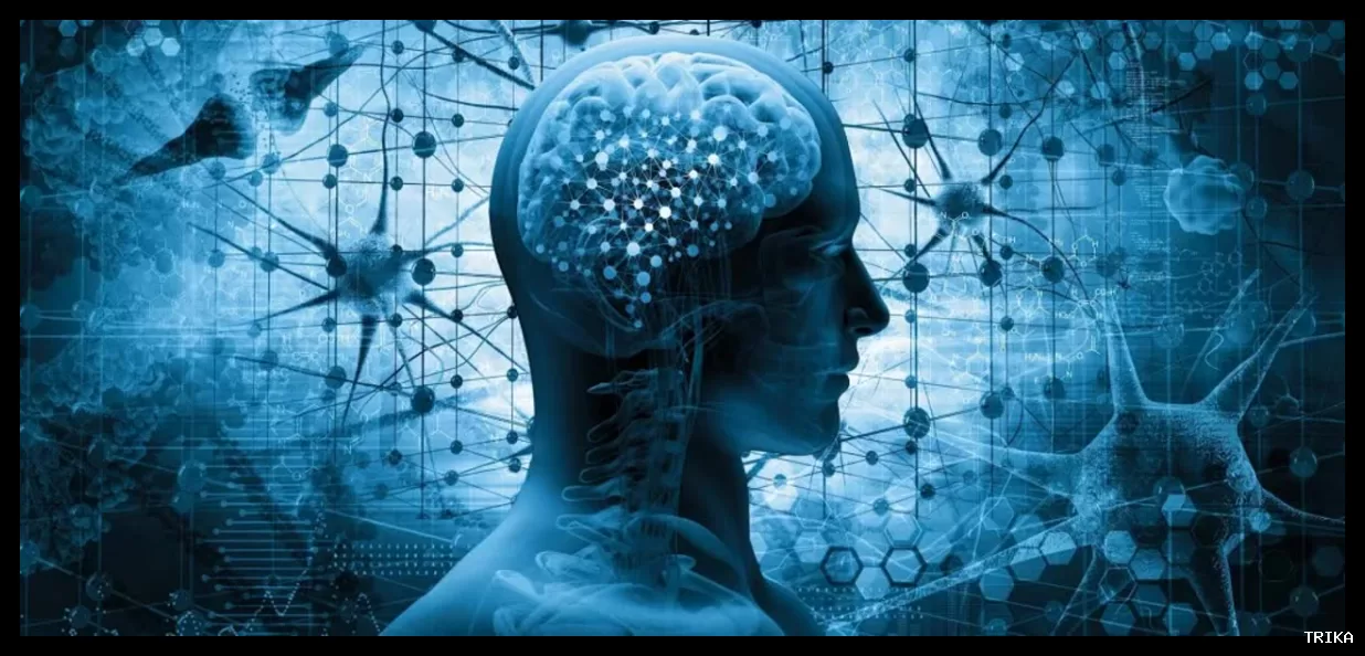 پژوهشگران حافظه را با استفاده از روش‌های نوین جوان می‌کنند