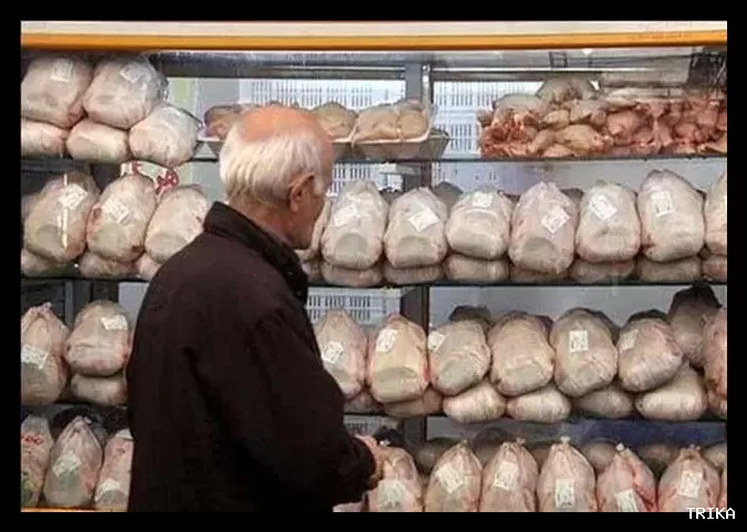 قیمت مرغ با افزایش تقاضا تا ۲۷۰هزار تومان نخواهد رسید