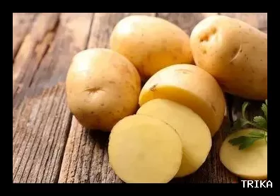 افزایش سرانه مصرف سیب‌زمینی به ۴۰ کیلوگرم در سایه گرانی کالاهای اساسی
